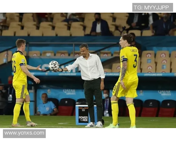 波兰队憾负瑞典，无缘欧洲杯四强