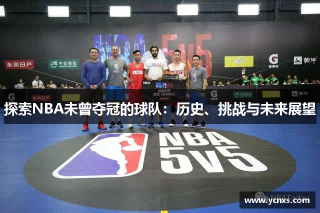 探索NBA未曾夺冠的球队：历史、挑战与未来展望